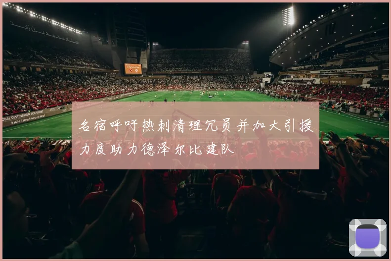 名宿呼吁热刺清理冗员并加大引援力度助力德泽尔比建队