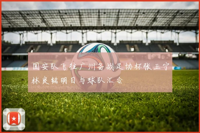 国安队飞往广州备战足协杯张玉宁林良铭明日与球队汇合