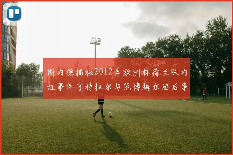 斯内德揭秘2012年欧洲杯荷兰队内讧事件亨特拉尔与范博梅尔酒后争执内幕